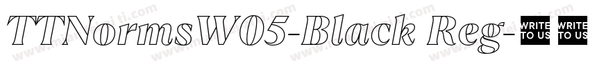 TTNormsW05-Black Reg字体转换